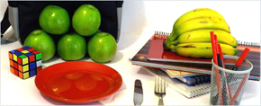 NOU SERVEI NUTRICIONAL COBISA